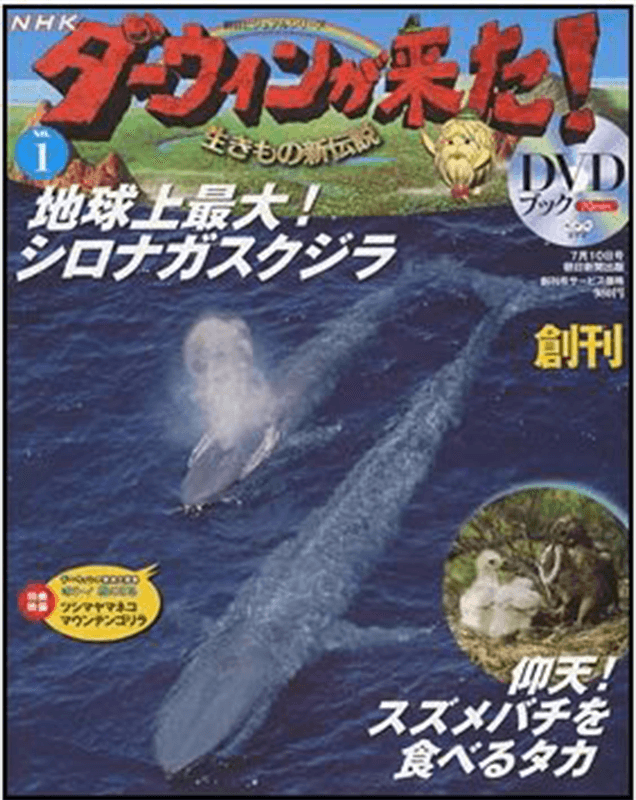 NHKダーウィンが来た! セット